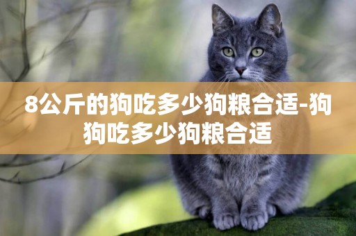 8公斤的狗吃多少狗糧合適-狗狗吃多少狗糧合適