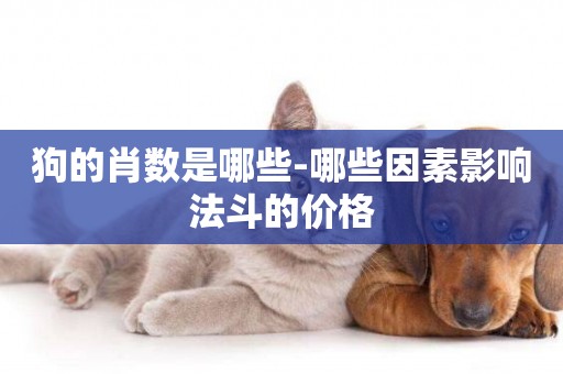 狗的肖數是哪些-哪些因素影響法斗的價格