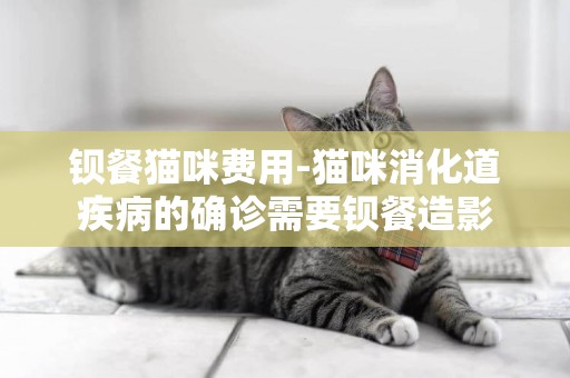 鋇餐貓咪費用-貓咪消化道疾病的確診需要鋇餐造影