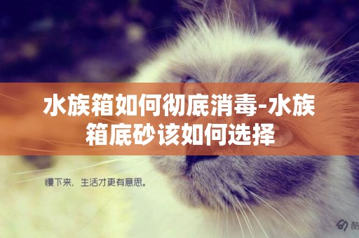 水族箱如何徹底消毒-水族箱底砂該如何選擇