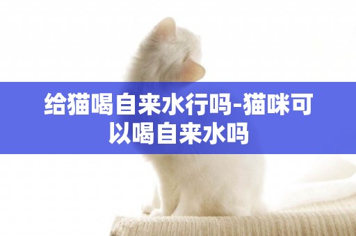 給貓喝自來水行嗎-貓咪可以喝自來水嗎