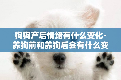 狗狗產后情緒有什么變化-養狗前和養狗后會有什么變化