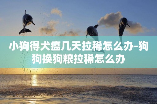 小狗得犬瘟幾天拉稀怎么辦-狗狗換狗糧拉稀怎么辦
