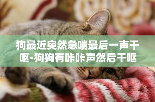 狗最近突然急喘最后一聲干嘔-狗狗有咔咔聲然后干嘔