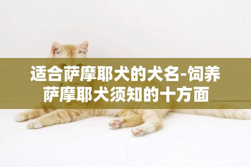 適合薩摩耶犬的犬名-飼養薩摩耶犬須知的十方面