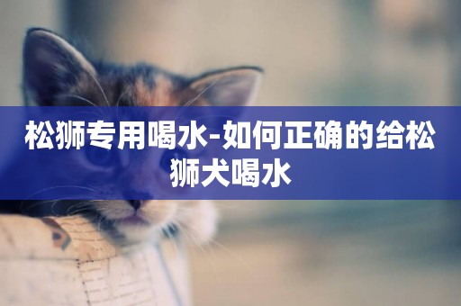 松獅專用喝水-如何正確的給松獅犬喝水