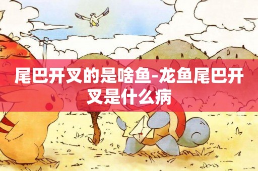 尾巴開叉的是啥魚-龍魚尾巴開叉是什么病