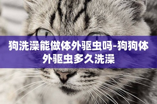 狗洗澡能做體外驅蟲嗎-狗狗體外驅蟲多久洗澡