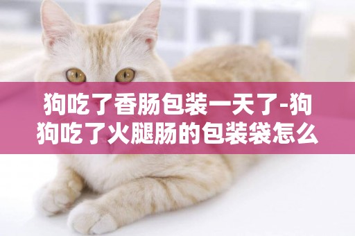 狗吃了香腸包裝一天了-狗狗吃了火腿腸的包裝袋怎么辦