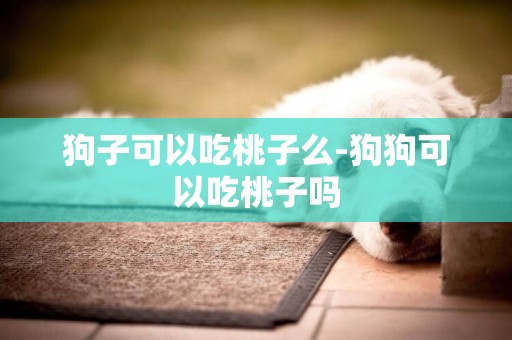 狗子可以吃桃子么-狗狗可以吃桃子嗎
