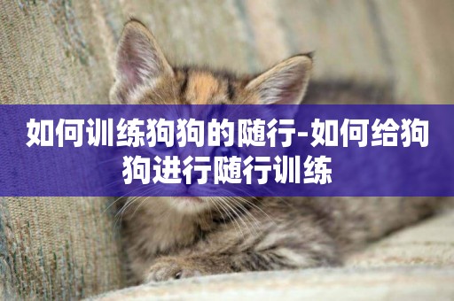 如何訓練狗狗的隨行-如何給狗狗進行隨行訓練
