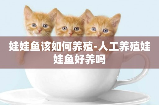 娃娃魚該如何養殖-人工養殖娃娃魚好養嗎