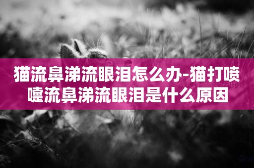 貓流鼻涕流眼淚怎么辦-貓打噴嚏流鼻涕流眼淚是什么原因