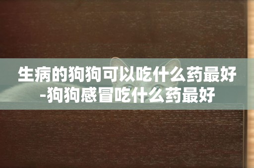 生病的狗狗可以吃什么藥最好-狗狗感冒吃什么藥最好