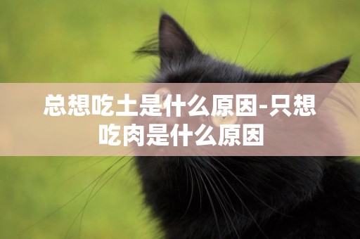 總想吃土是什么原因-只想吃肉是什么原因