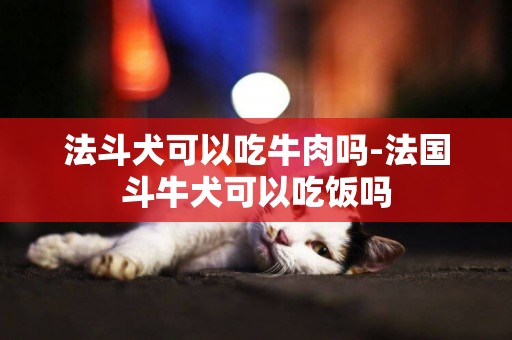 法斗犬可以吃牛肉嗎-法國斗牛犬可以吃飯嗎