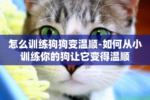 怎么訓練狗狗變溫順-如何從小訓練你的狗讓它變得溫順