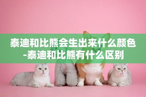 泰迪和比熊會生出來什么顏色-泰迪和比熊有什么區別