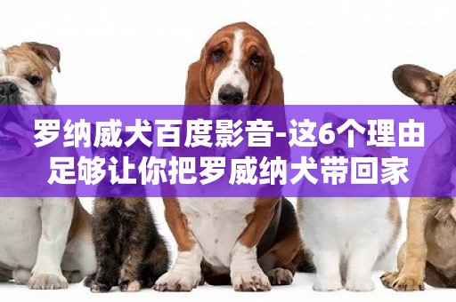 羅納威犬百度影音-這6個理由足夠讓你把羅威納犬帶回家