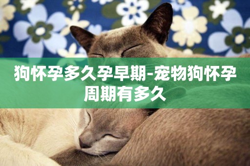 狗懷孕多久孕早期-寵物狗懷孕周期有多久