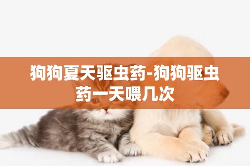狗狗夏天驅蟲藥-狗狗驅蟲藥一天喂幾次