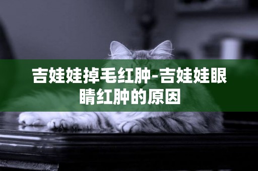 吉娃娃掉毛紅腫-吉娃娃眼睛紅腫的原因