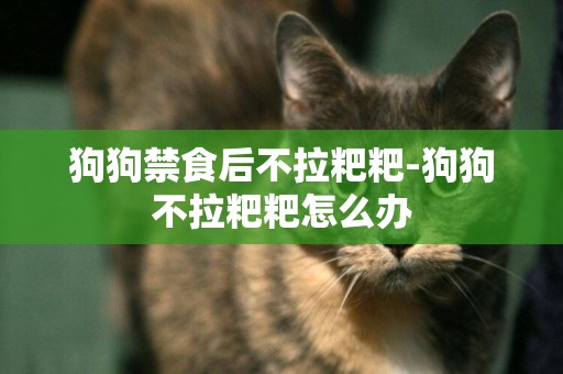 狗狗禁食后不拉粑粑-狗狗不拉粑粑怎么辦