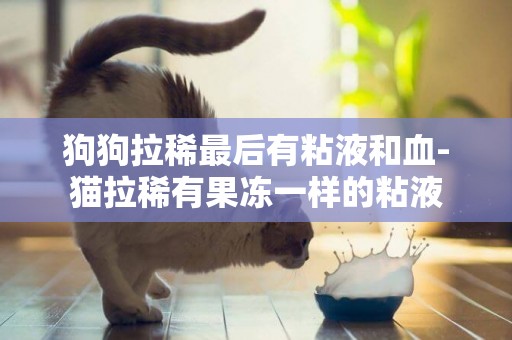 狗狗拉稀最后有粘液和血-貓拉稀有果凍一樣的粘液