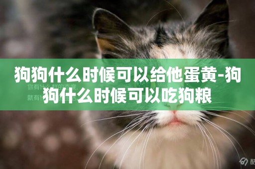 狗狗什么時候可以給他蛋黃-狗狗什么時候可以吃狗糧