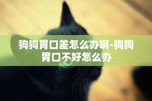 狗狗胃口差怎么辦啊-狗狗胃口不好怎么辦