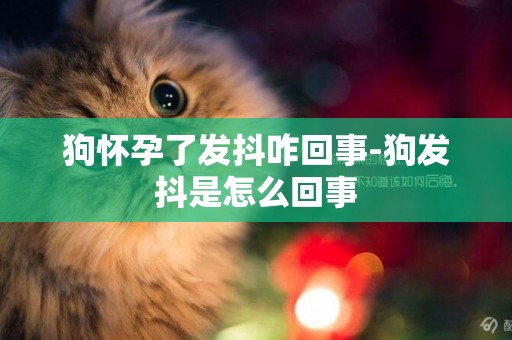 狗懷孕了發抖咋回事-狗發抖是怎么回事