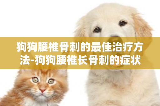 狗狗腰椎骨刺的最佳治療方法-狗狗腰椎長骨刺的癥狀及治療方法