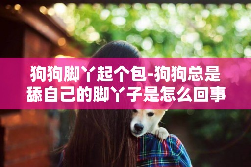 狗狗腳丫起個包-狗狗總是舔自己的腳丫子是怎么回事