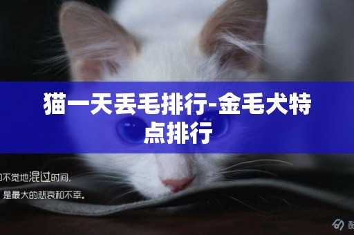 貓一天丟毛排行-金毛犬特點排行