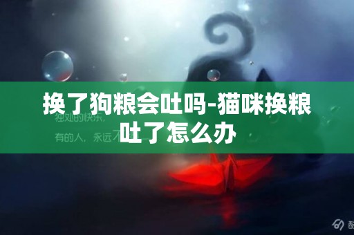 換了狗糧會吐嗎-貓咪換糧吐了怎么辦