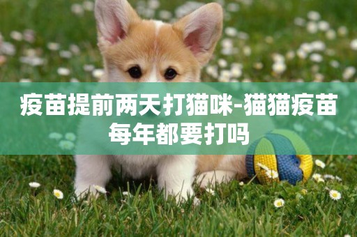疫苗提前兩天打貓咪-貓貓疫苗每年都要打嗎