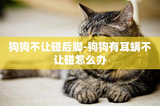 狗狗不讓碰后腳-狗狗有耳螨不讓碰怎么辦