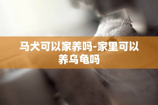 馬犬可以家養嗎-家里可以養烏龜嗎
