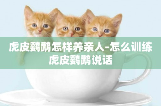 虎皮鸚鵡怎樣養親人-怎么訓練虎皮鸚鵡說話