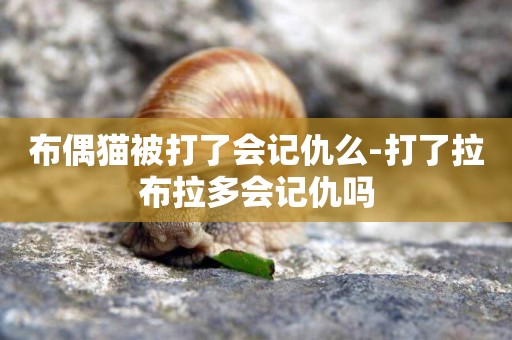 布偶貓被打了會記仇么-打了拉布拉多會記仇嗎