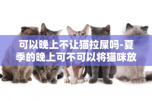 可以晚上不讓貓拉屎嗎-夏季的晚上可不可以將貓咪放在陽臺上