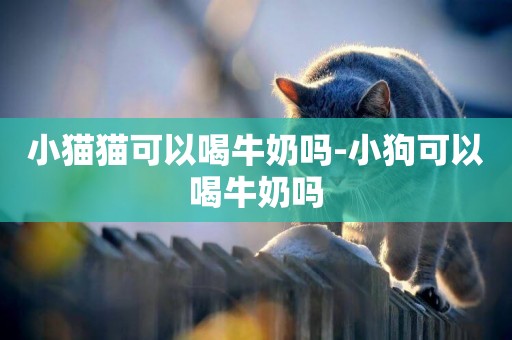 小貓貓可以喝牛奶嗎-小狗可以喝牛奶嗎