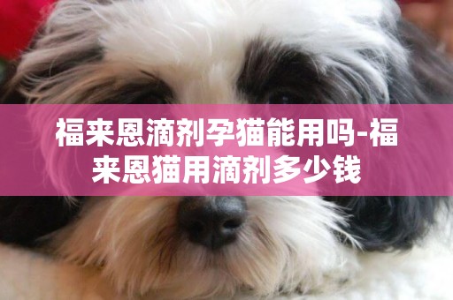 福來恩滴劑孕貓能用嗎-福來恩貓用滴劑多少錢