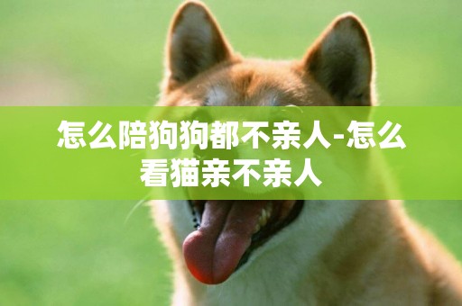 怎么陪狗狗都不親人-怎么看貓親不親人