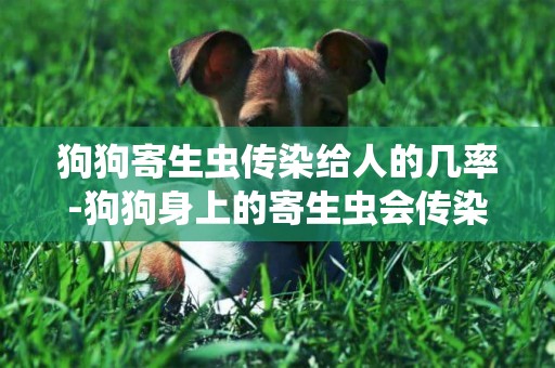 狗狗寄生蟲傳染給人的幾率-狗狗身上的寄生蟲會傳染給人嗎