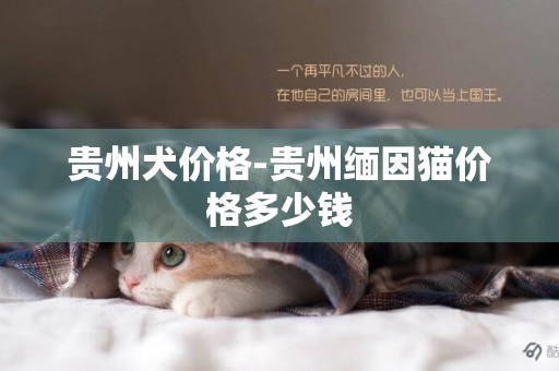 貴州犬價格-貴州緬因貓價格多少錢