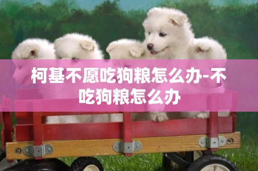 柯基不愿吃狗糧怎么辦-不吃狗糧怎么辦