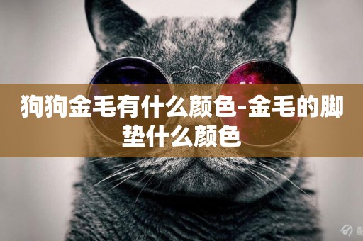 狗狗金毛有什么顏色-金毛的腳墊什么顏色