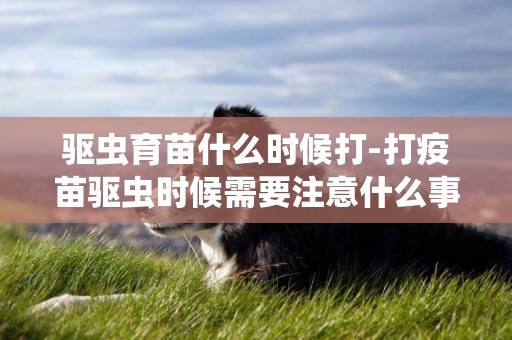 驅蟲育苗什么時候打-打疫苗驅蟲時候需要注意什么事項呢