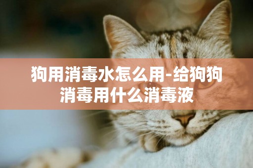 狗用消毒水怎么用-給狗狗消毒用什么消毒液